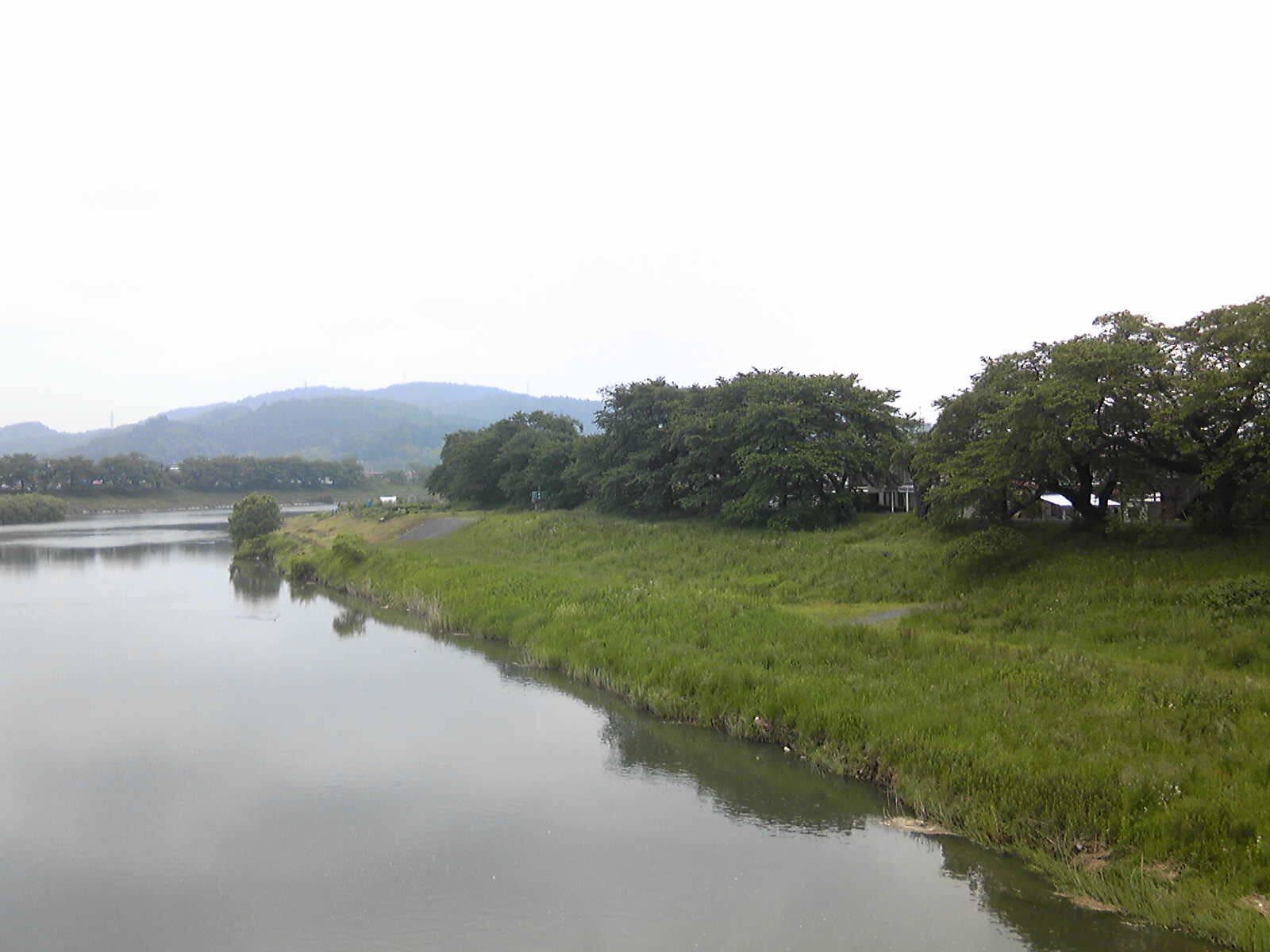 新緑の一目千本桜